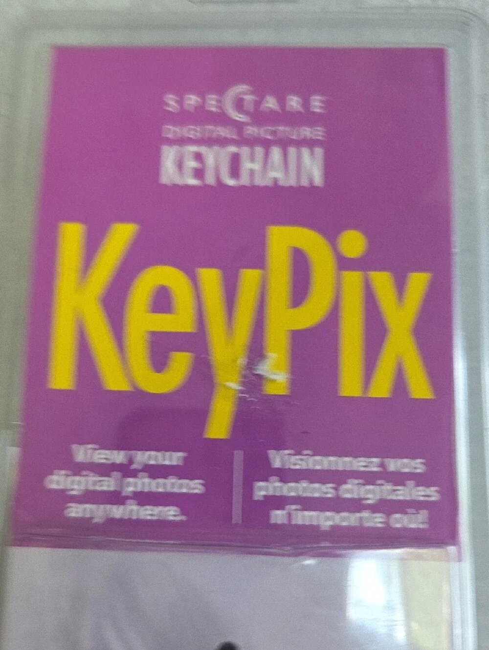 KeyPix Digital Picture Keychain - Silver